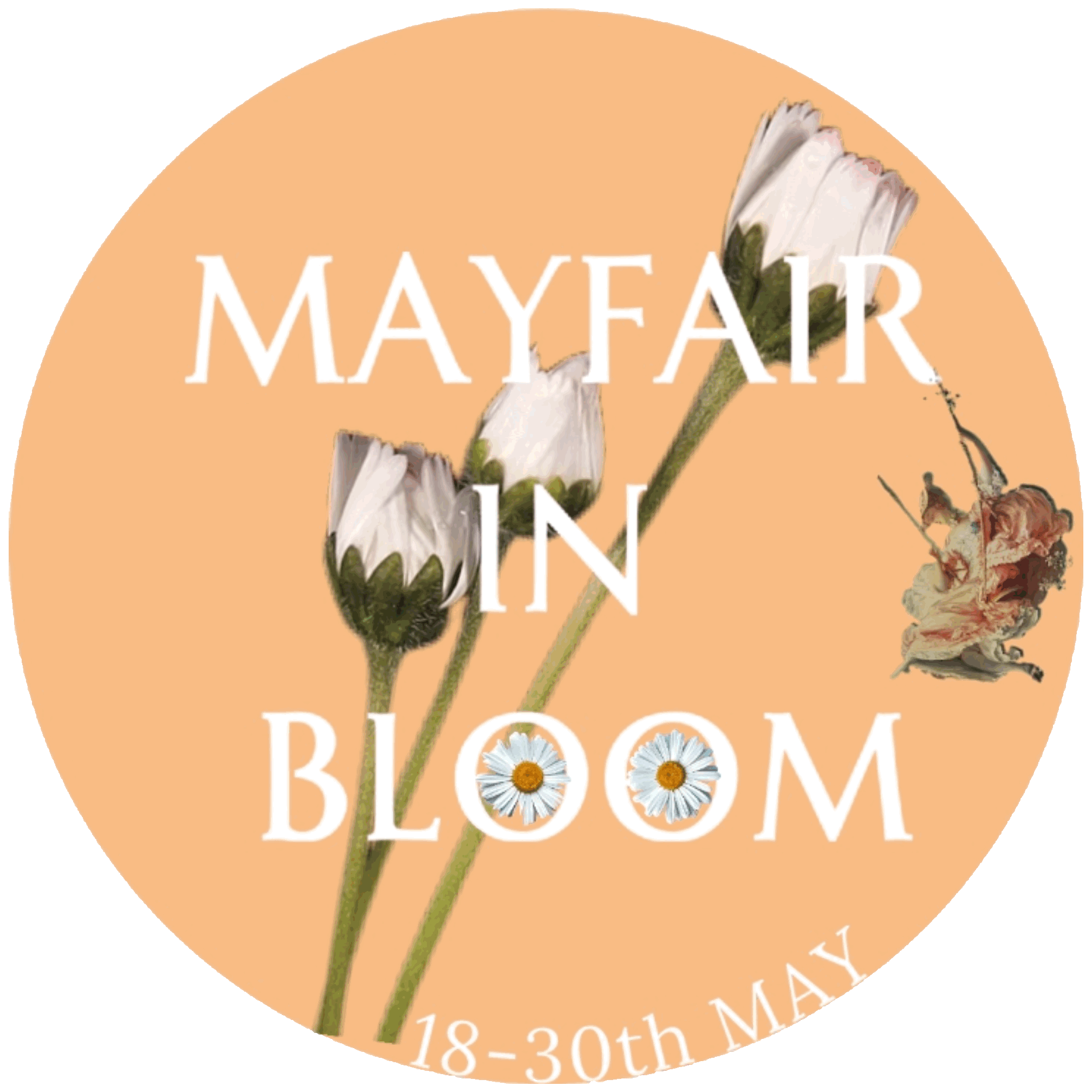 sketch Mayfair in Bloom Logo